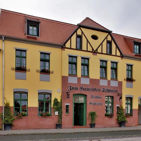 Gasthaus Und Pension "Zum Hauenden Schwein" Wörlitz Zewnętrze zdjęcie