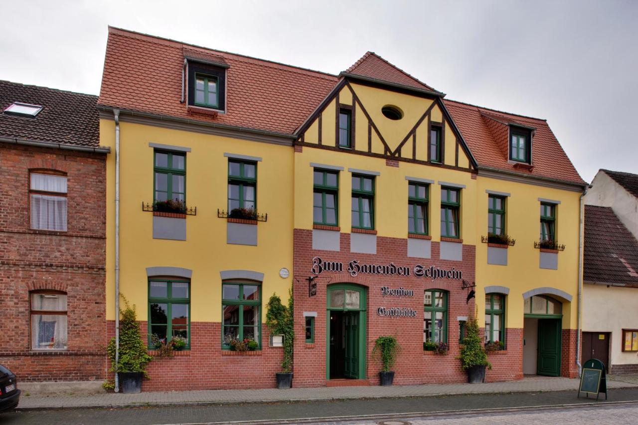 Gasthaus Und Pension "Zum Hauenden Schwein" Wörlitz Zewnętrze zdjęcie